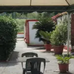 Ingresso CSF